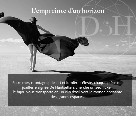 Collection De Hantsetters